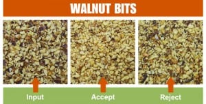 Walnut Bits